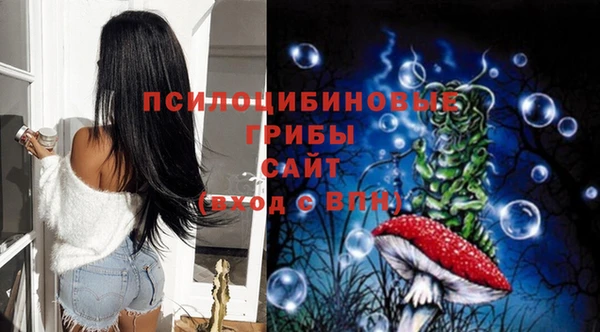 крисы Алзамай