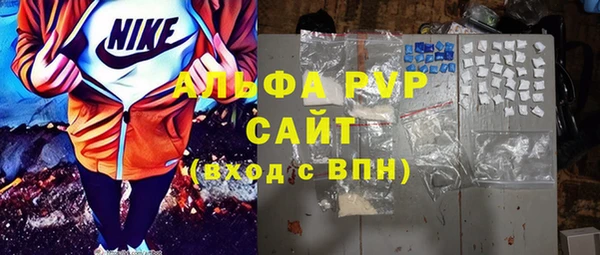 стаф Алексин